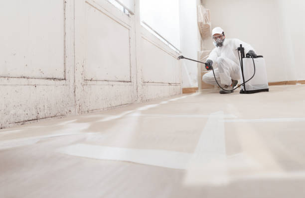 24/7 Emergency Commercial Mold Remediation experts in Newfoundland, NJ