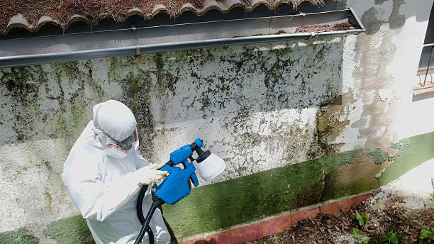 Top rated local Commercial Mold Remediation specialists in Newfoundland, NJ